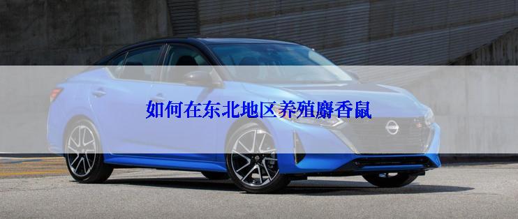 如何在东北地区养殖麝香鼠