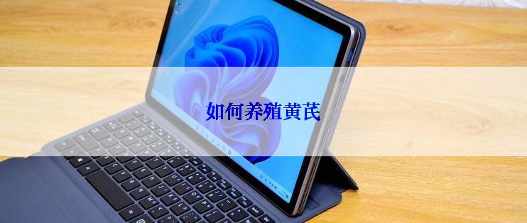 如何养殖黄芪