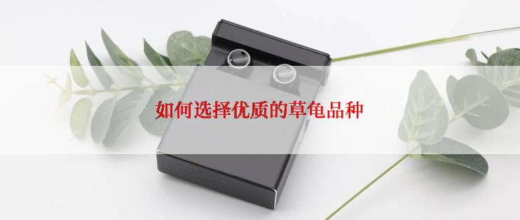 如何选择优质的草龟品种