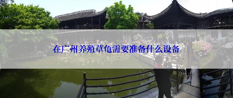 在广州养殖草龟需要准备什么设备