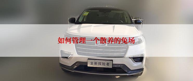 如何管理一个散养的兔场