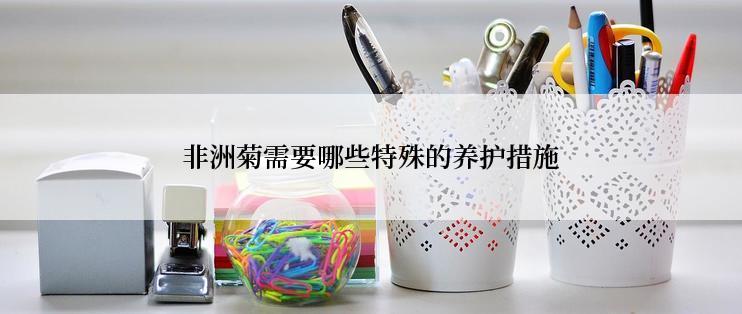 非洲菊需要哪些特殊的养护措施