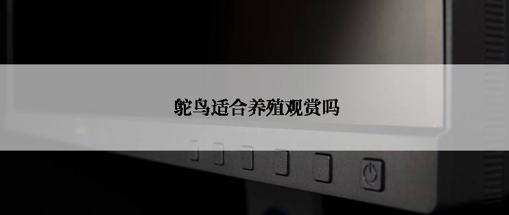  鸵鸟适合养殖观赏吗