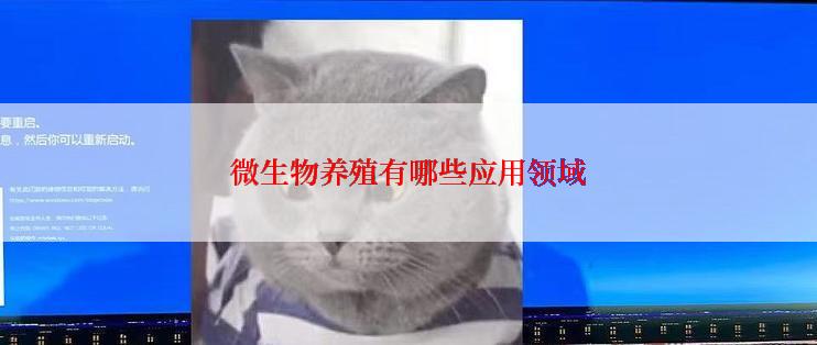 微生物养殖有哪些应用领域