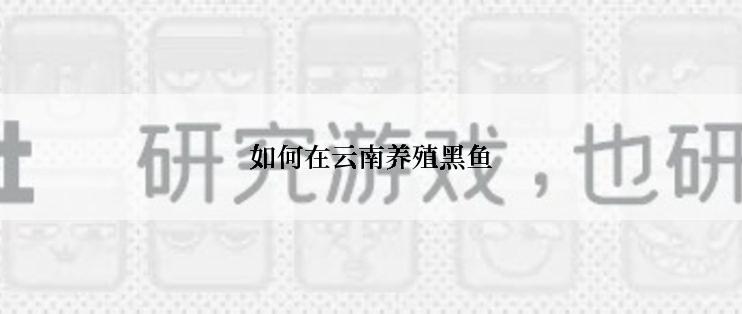 如何在云南养殖黑鱼