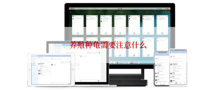  养殖种龟需要注意什么