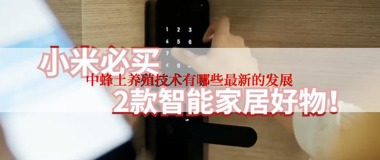 中蜂土养殖技术有哪些最新的发展