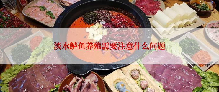 淡水鲈鱼养殖需要注意什么问题