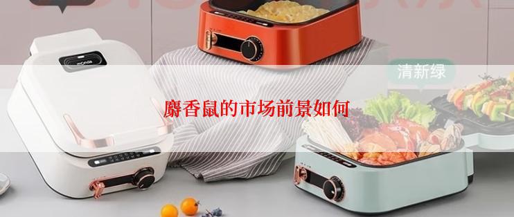麝香鼠的市场前景如何