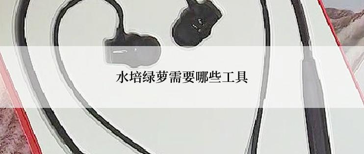 水培绿萝需要哪些工具