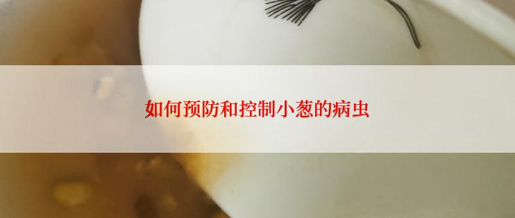如何预防和控制小葱的病虫