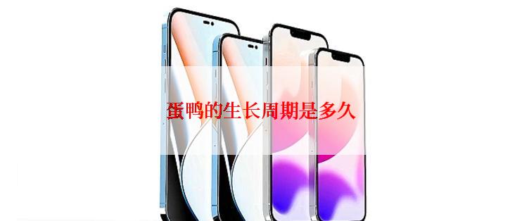蛋鸭的生长周期是多久