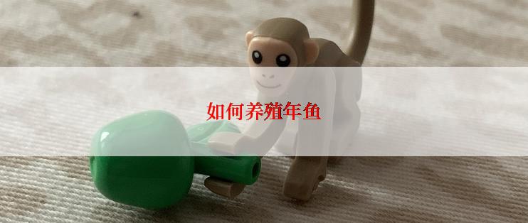 如何养殖年鱼