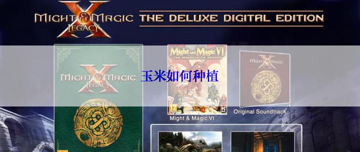 玉米如何种植