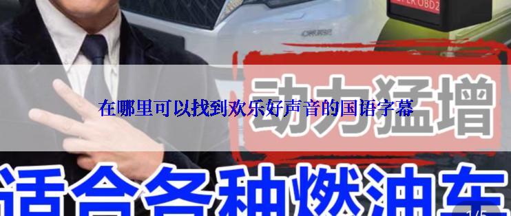 在哪里可以找到欢乐好声音的国语字幕