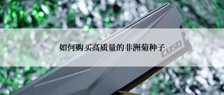 如何购买高质量的非洲菊种子