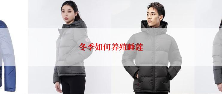 冬季如何养殖睡莲