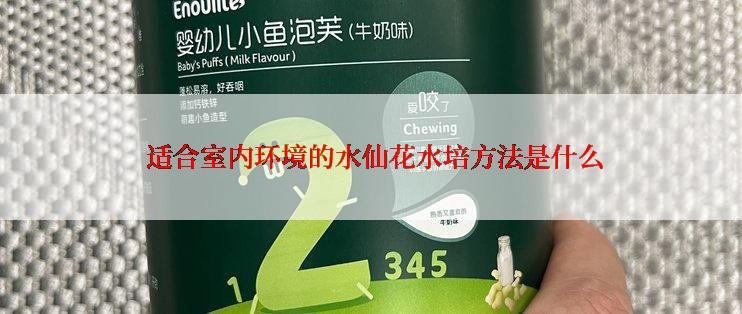  适合室内环境的水仙花水培方法是什么