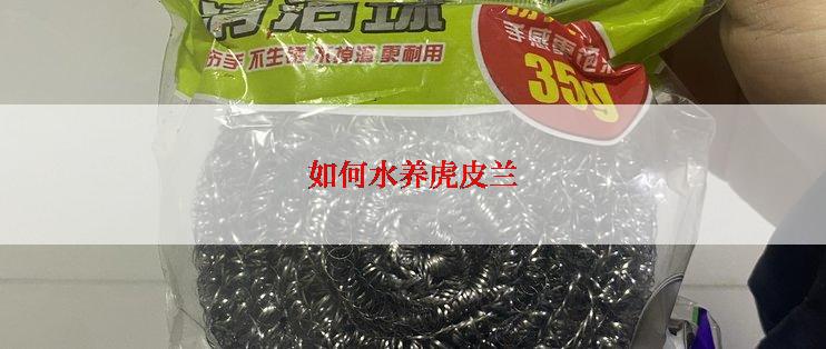 如何水养虎皮兰