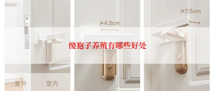 傻狍子养殖有哪些好处