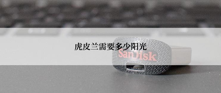 虎皮兰需要多少阳光