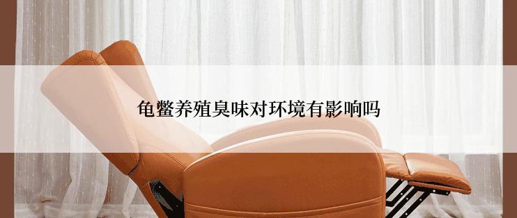 龟鳖养殖臭味对环境有影响吗