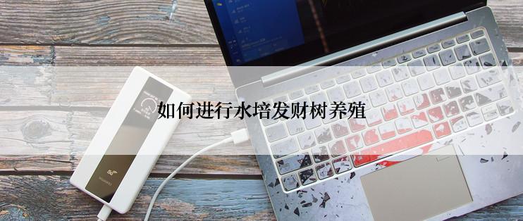 如何进行水培发财树养殖