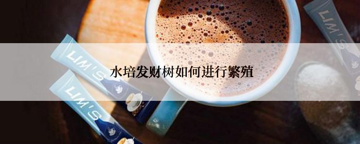  水培发财树如何进行繁殖