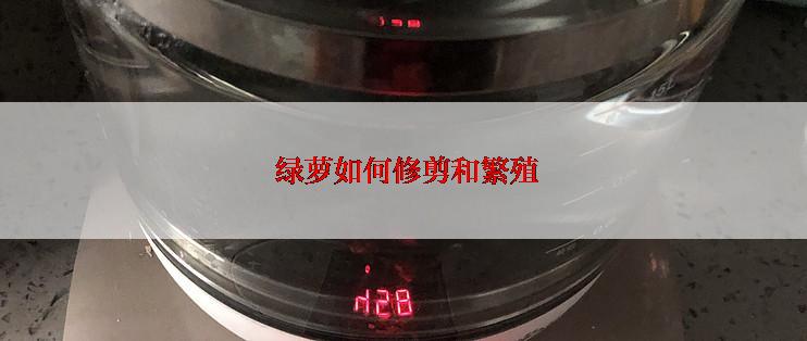  绿萝如何修剪和繁殖