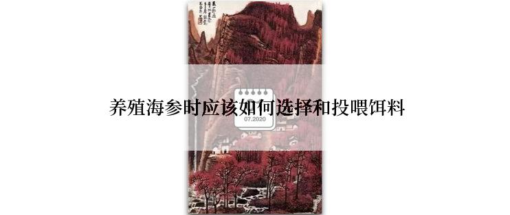  养殖海参时应该如何选择和投喂饵料