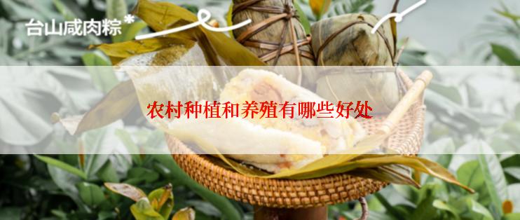 农村种植和养殖有哪些好处