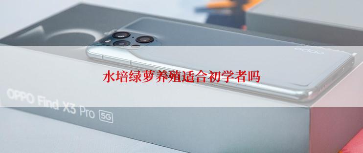 水培绿萝养殖适合初学者吗