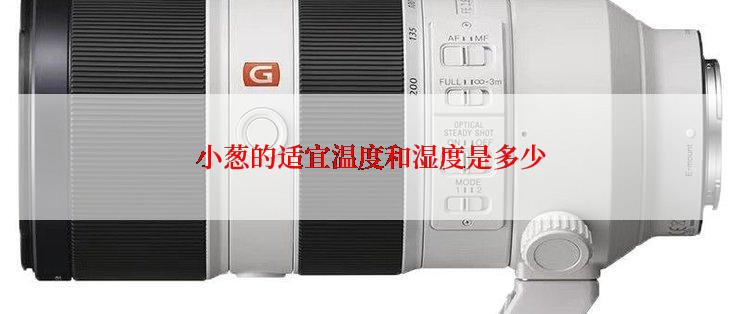 小葱的适宜温度和湿度是多少
