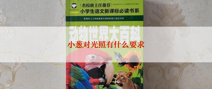 小葱对光照有什么要求