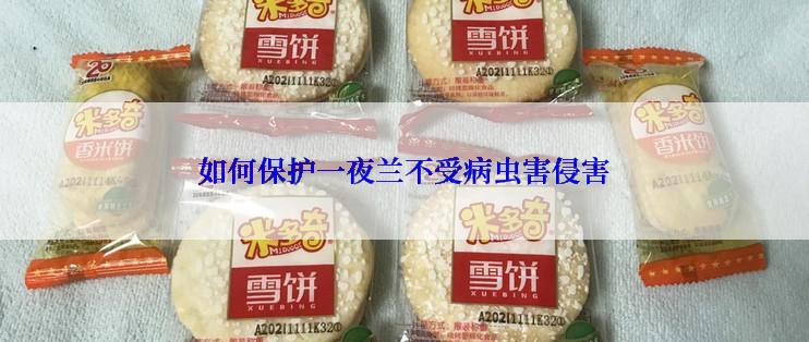 如何保护一夜兰不受病虫害侵害