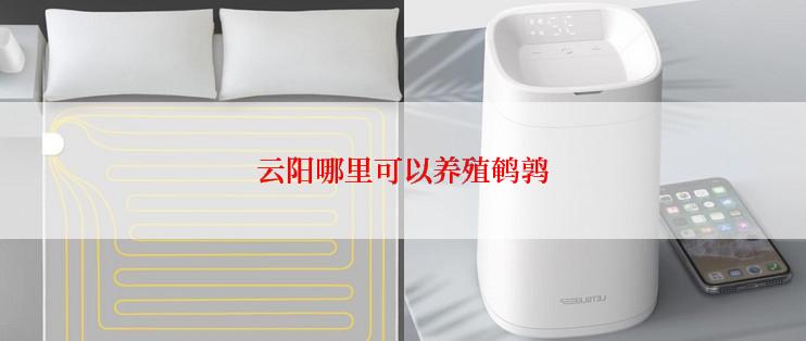 云阳哪里可以养殖鹌鹑
