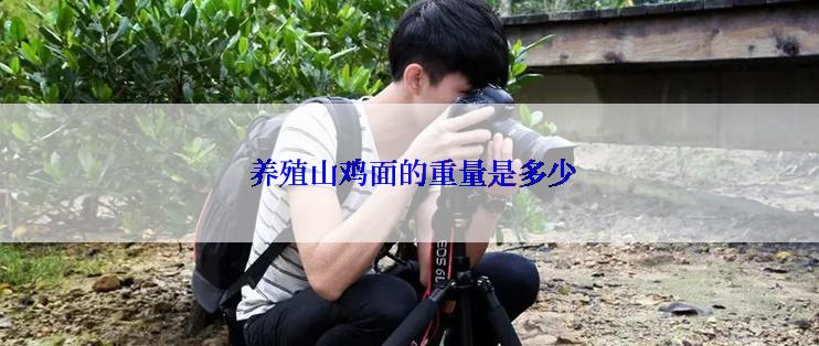  养殖山鸡面的重量是多少