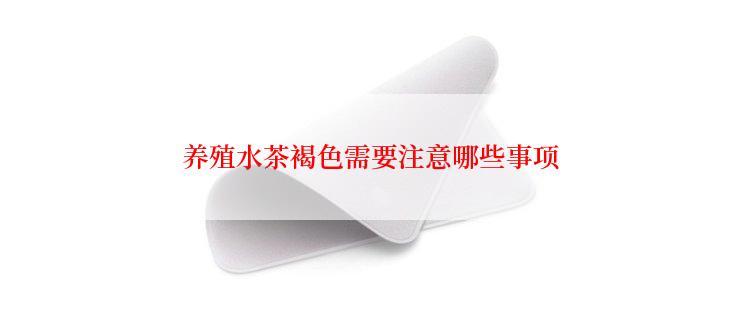 养殖水茶褐色需要注意哪些事项