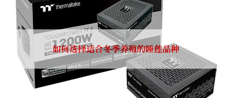 如何选择适合冬季养殖的睡莲品种