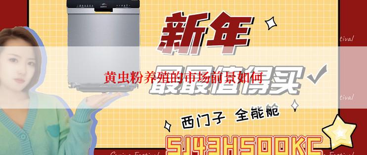 黄虫粉养殖的市场前景如何