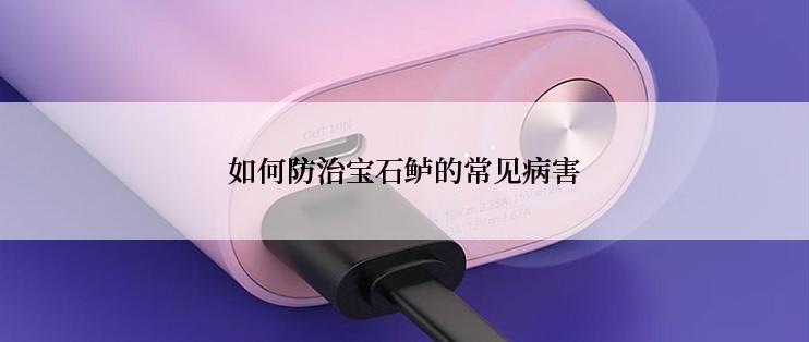 如何防治宝石鲈的常见病害