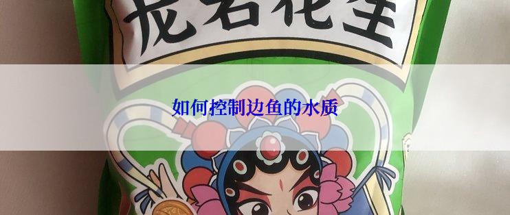 如何控制边鱼的水质