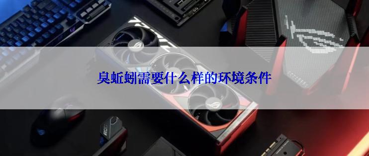 臭蚯蚓需要什么样的环境条件