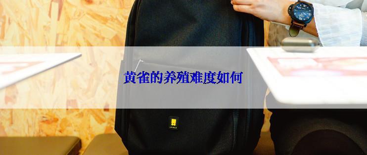 黄雀的养殖难度如何