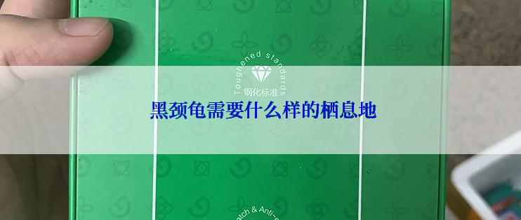  黑颈龟需要什么样的栖息地