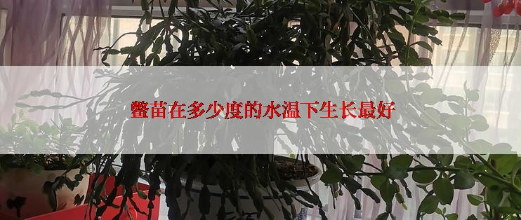  鳖苗在多少度的水温下生长最好