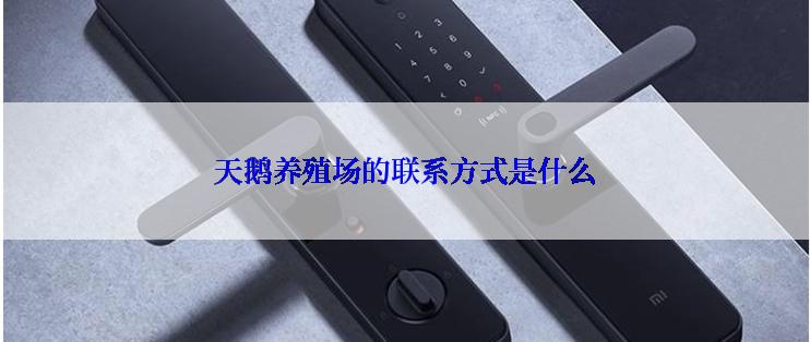 天鹅养殖场的联系方式是什么