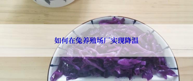 如何在兔养殖场厂实现降温