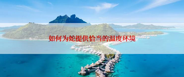 如何为蛇提供恰当的温度环境
