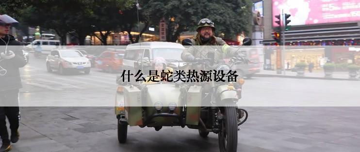 什么是蛇类热源设备
